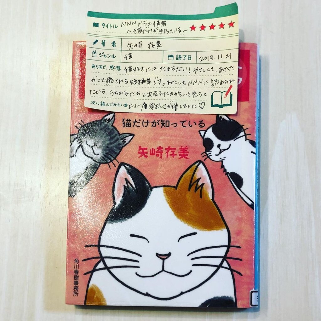 NNNからの使者 猫だけが知っている 矢崎存美 読書　感想　書評　レビュー